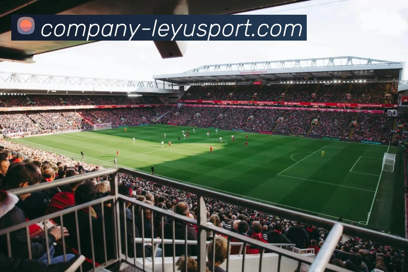 乐鱼体育平台生态图