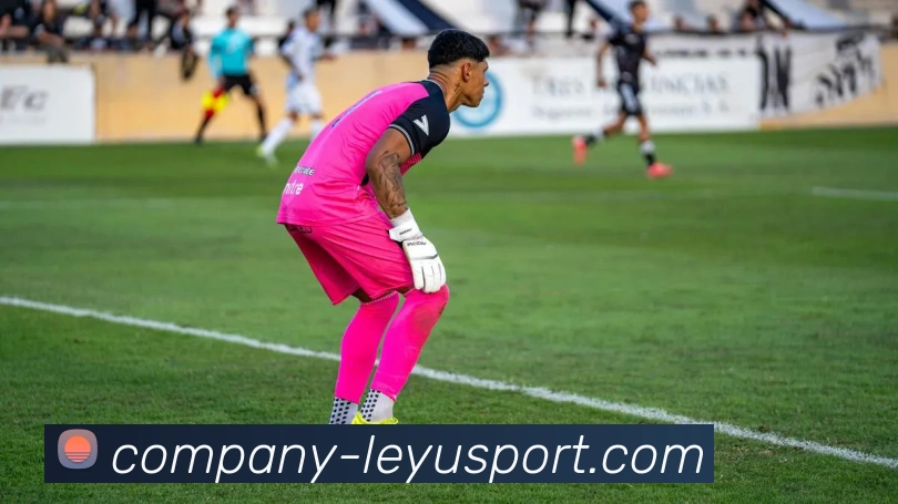 乐鱼体育全站App